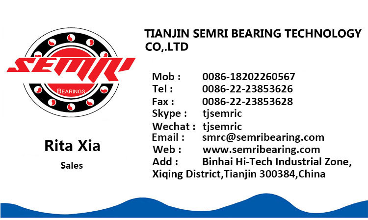 NSK Brand High Speed Angular Contact Ball Bearing (5200-2RS)