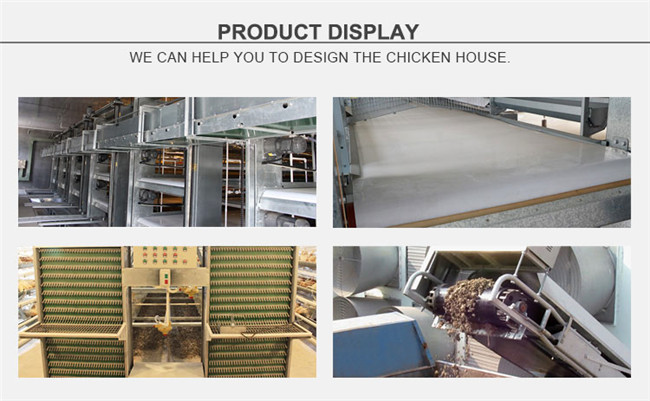 Conveyor Belt Broiler Poultry Manure Ordure Cleaning System