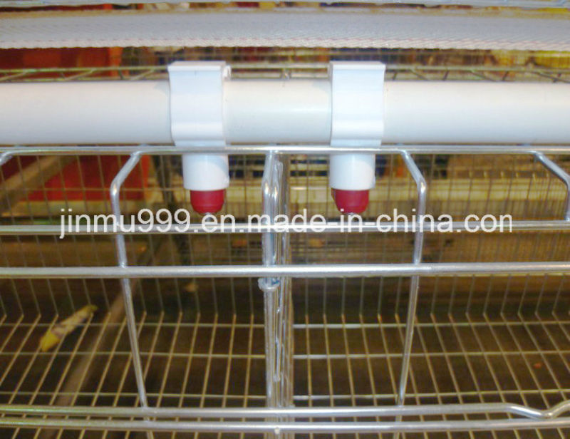 H Type Agriculture Machinery Layer Chicken Cage on Sell