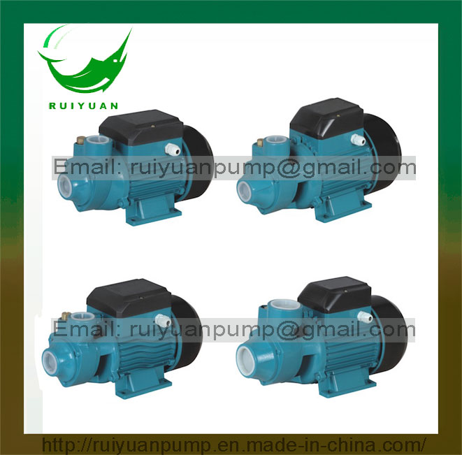 Brass Impeller Copper Wire 12V DC Qb60 Jet Qdx Cpm Submersible Pump Sewage Water Pump with Float