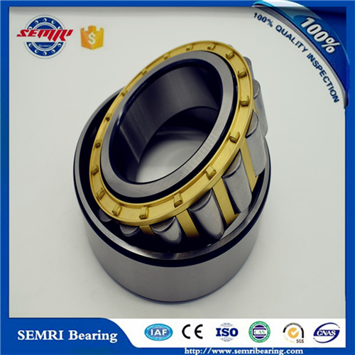 Precisoin Cylindrical Roller Bearing (NU1018M) for Wheel Bearing