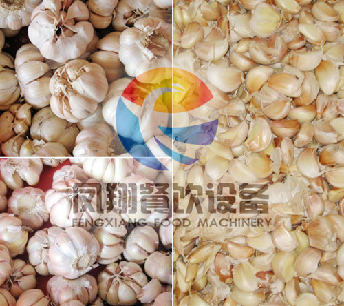 Ce Approved Garlic Clove Separator, Garlic Bulbs Extruding Machine, Garlic Cloves Squeeze Machine