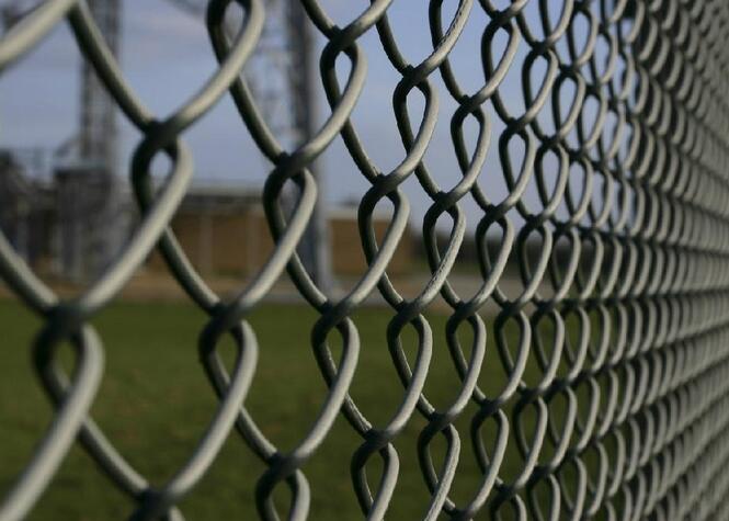 Low Price Galvanized Chain Link Fence