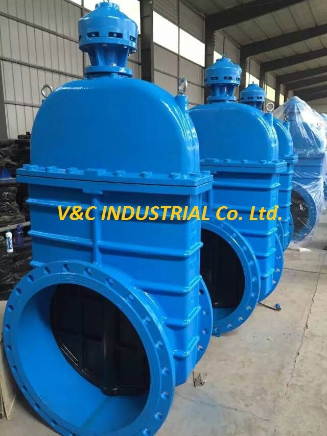 Ductile Iron Soft Seal Gate Valve