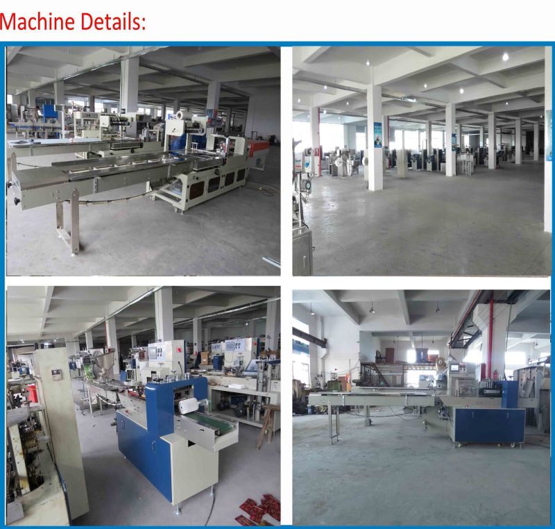 Flow Wrapping Machine for Biscuit