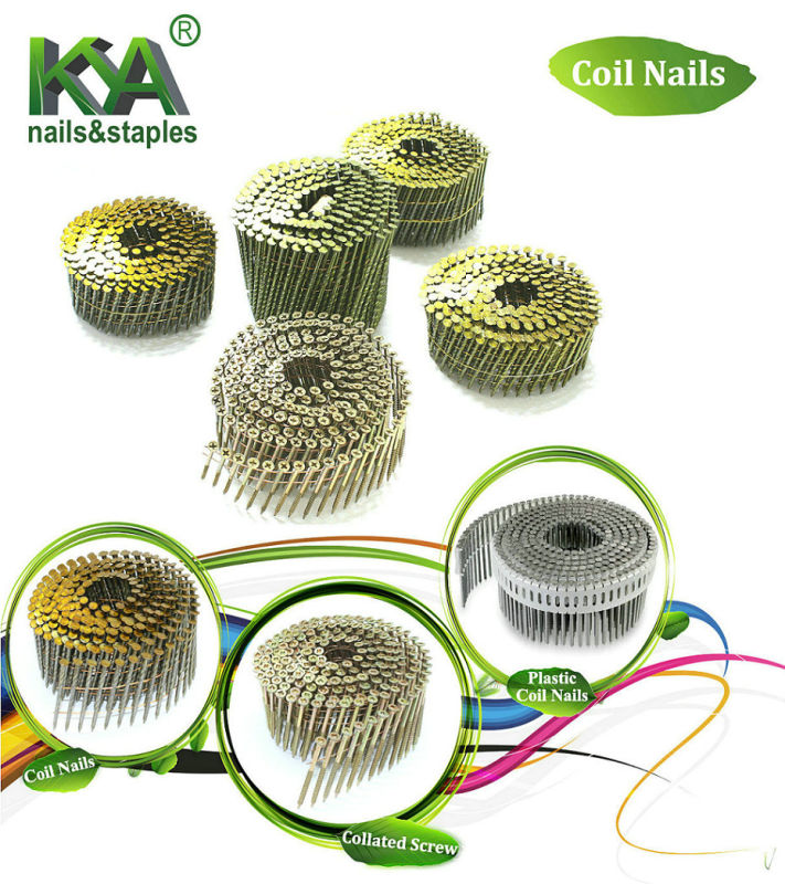 Screw Shank Coil Nail for Construction and Packing