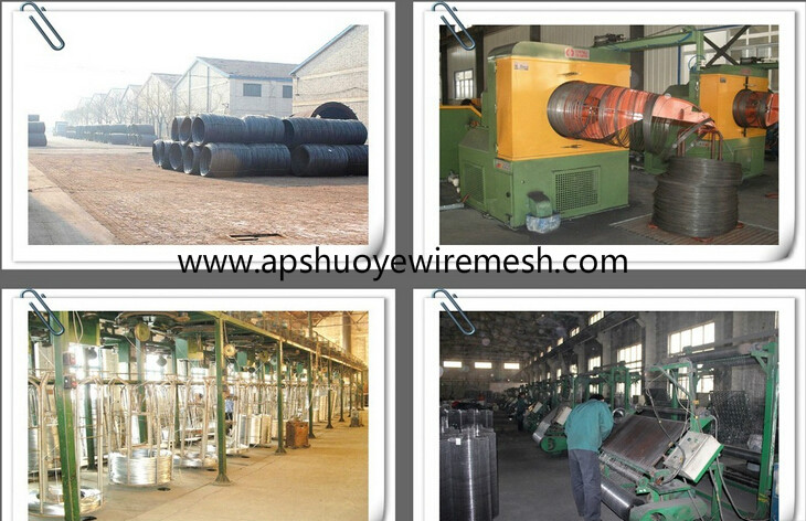 PVC Coated Welded Wire Mesh (Hebei Factory)