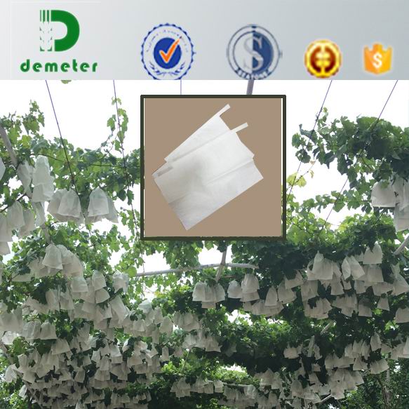 Manufacturer Supply Biodegradable Wax Coated Grape Grow Paper Bag Fruit Protect