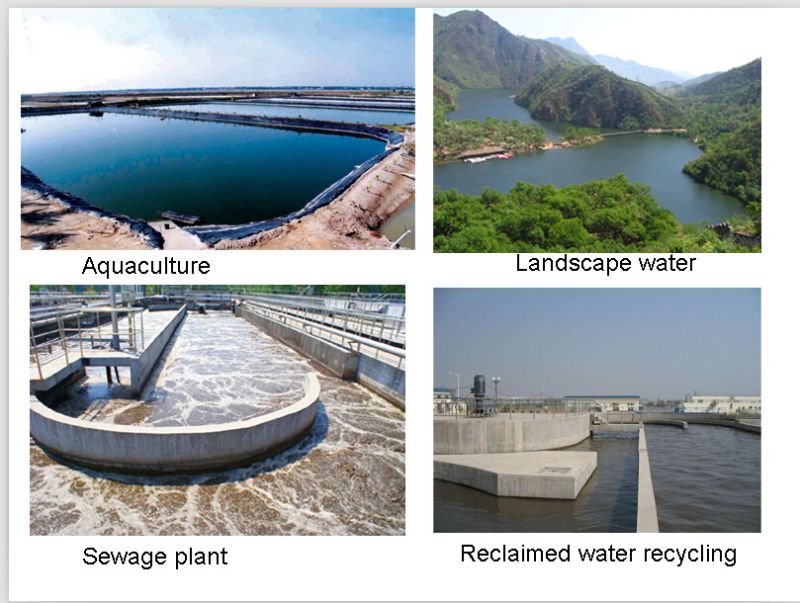 UV Sterilizer Effective Against Free Bacteria Floating in Water Treatment