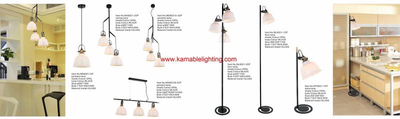 Modern Reading and Studing Metal Table Lamp (MT8021-1OP)