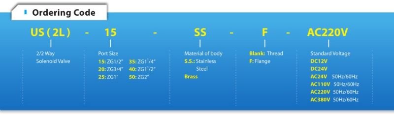 Normally Closed Steam Solenoid Valve for High Quality