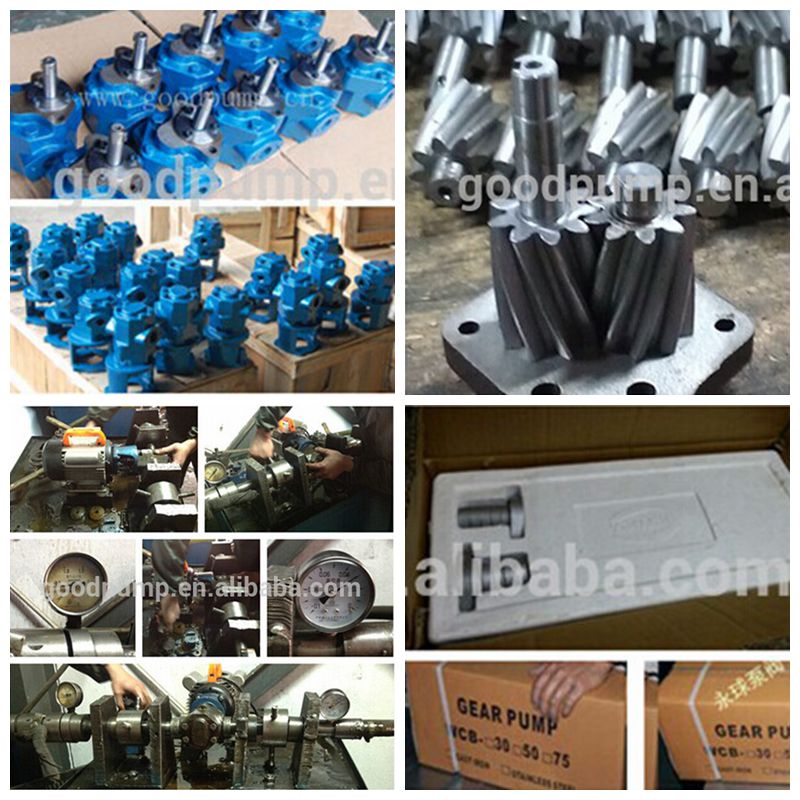 CE Certificate Gear Pump Hand Pump