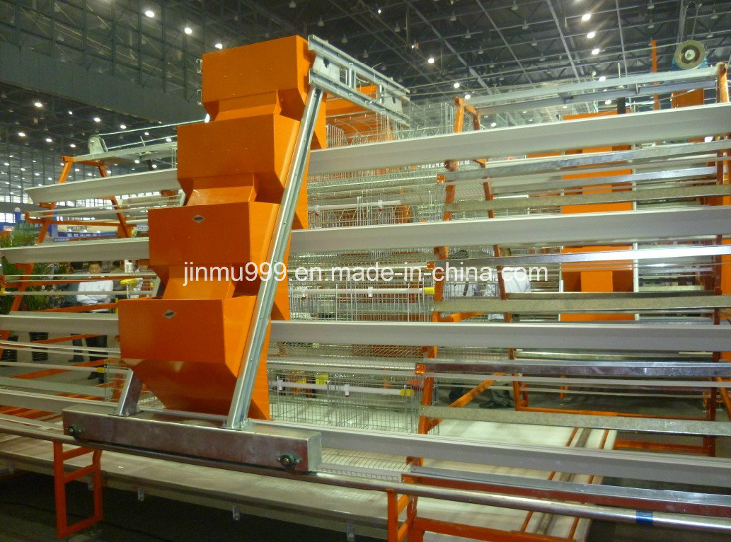 Poultry Equipment Layer Broiler Chicken Cage Made in China