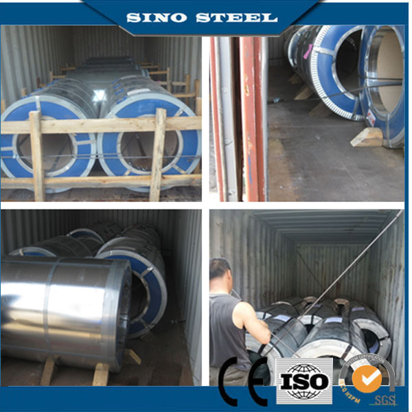 Best Price Z80 Dx51d Grade Ral9016 PPGI Steel Coil