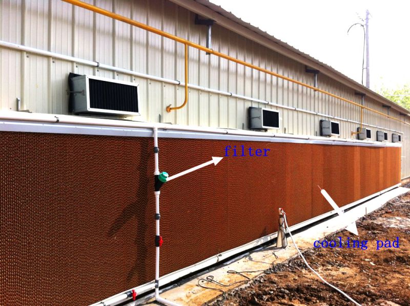 Automatic Poultry Equipment with Prefab House Construction for One-Stop