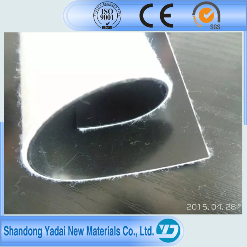 0.2mm/0.3mm/0.4mm/0.5mm0.6mm0.7mm HDPE Geomembrane