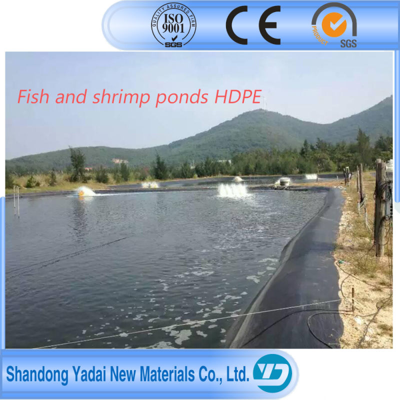 1mm Waterproofing Membrane Pond Liner LDPE EVA PVC HDPE Geomembrane