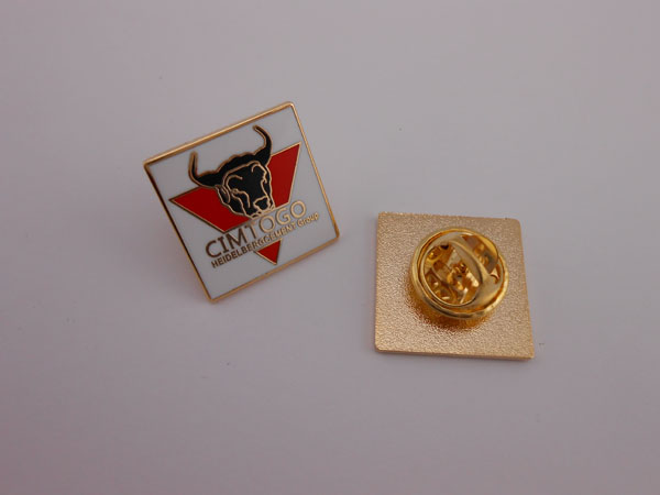 Custom Lapel Pins, Customized Badge with Logo (GZHY-KA-029)