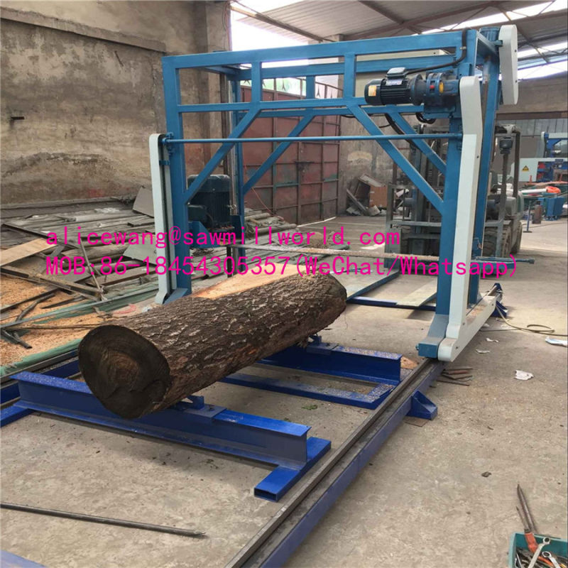 Large Scale Chain Sawmill with Strong Practticality