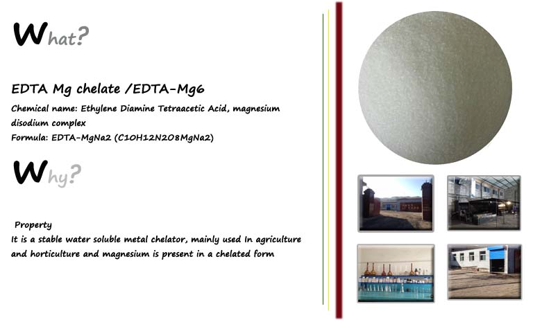 EDTA Magnesium Chelate