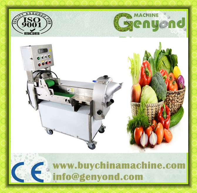 Multi-Functional Stainless Steel Commercial Vegetable Cutting Machine