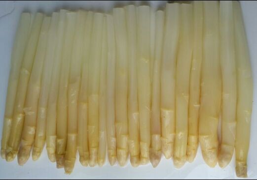 Hot Selling Canned White Asparagus