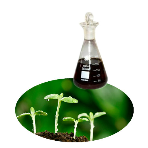 Biological root conditioner/fertilizer for less pesticide use