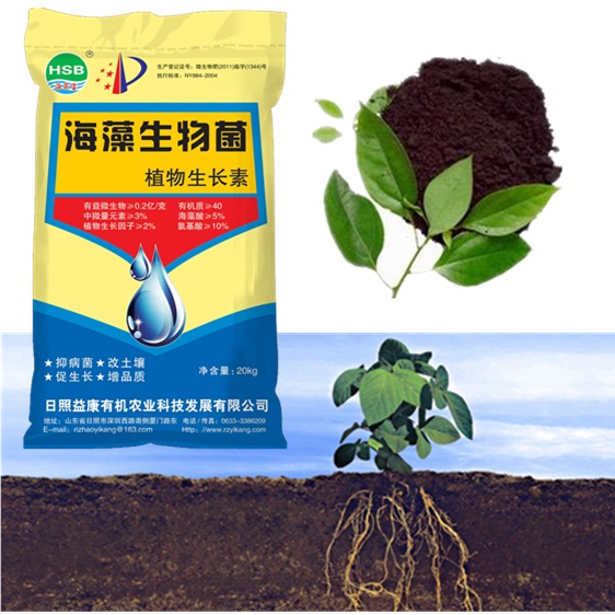 Organic Manure manufacture with Amino Acid added Plant Promoter