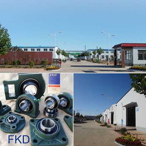 Fkd/Pillow Block Bearing/ Bearing Units/ Bearings (UCHA 207)