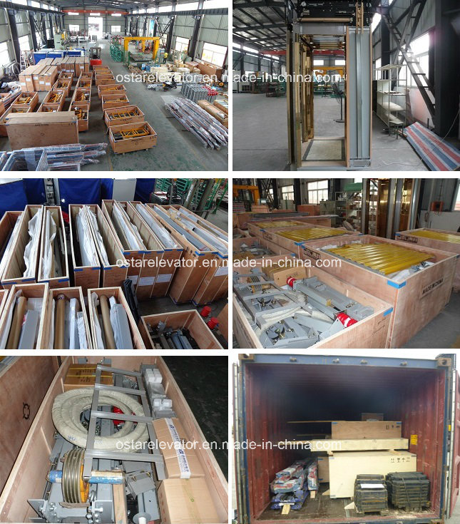 Elevator Parts with High Quality Glass Decoration Cabin (OS41)