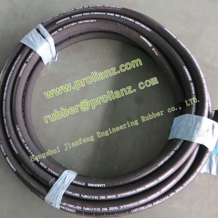 Colorful Flexible Hose to Pakistan