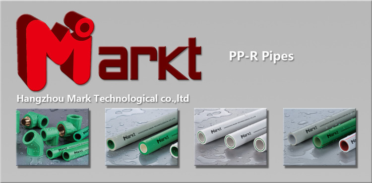 100% New Material PPR Pipe for Water