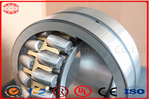 High Performance High Speed Hybrid /Full Ceramic Bearing Self Aligning Ball Bearing (1314)