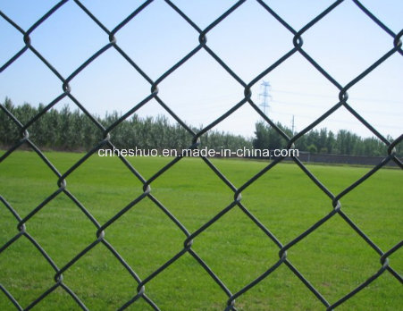 Chain Link Fence Panel /Chain Link Wire Fence/Galvanized Chain Link Wire Mesh