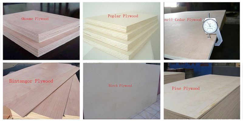 Best 2mm-30mm Laminated Marine Plywood/ Furniture Plywood Manufacturer