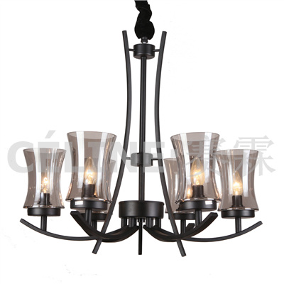 Hot Chandelier Pendant Lamp with Glass Shade (SL2246-6)