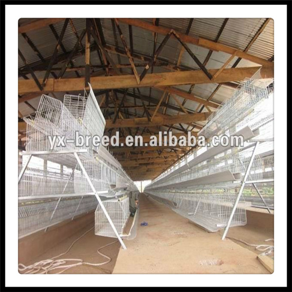 High Quality Chicken Cage (A3L120)