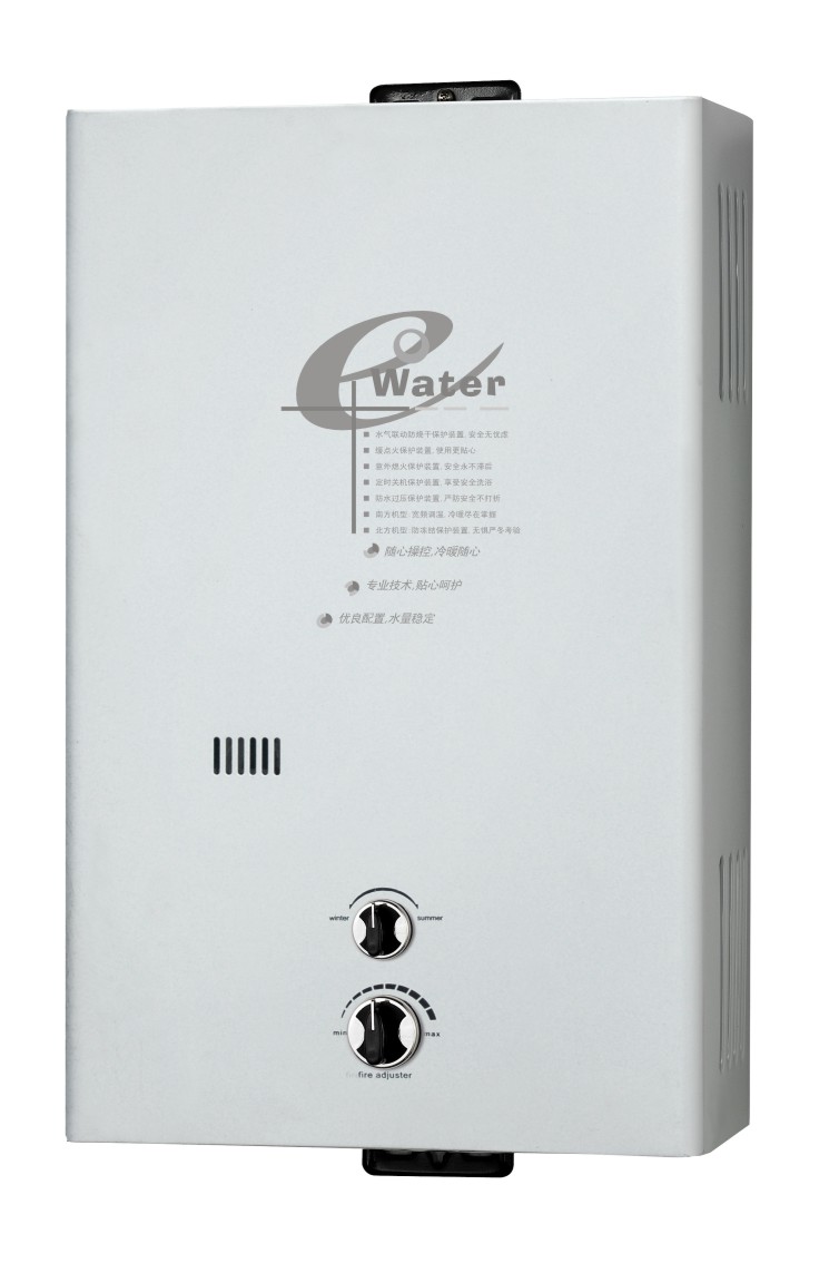 Flue Type Instant Gas Water Heater/Gas Geyser/Gas Boiler (SZ-RS-104)