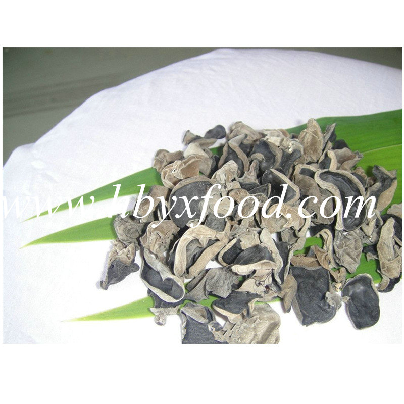 1.5-2cm Dehydrated Tasty White Back Fungus