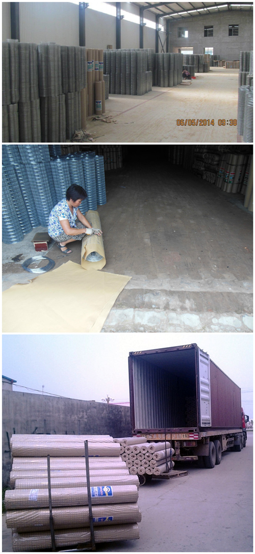 China Wholesale Welded Wire Mesh Roll for Construction (WWM)