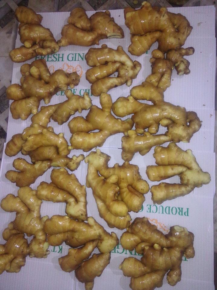 Chinese Fresh Ginger From Farm