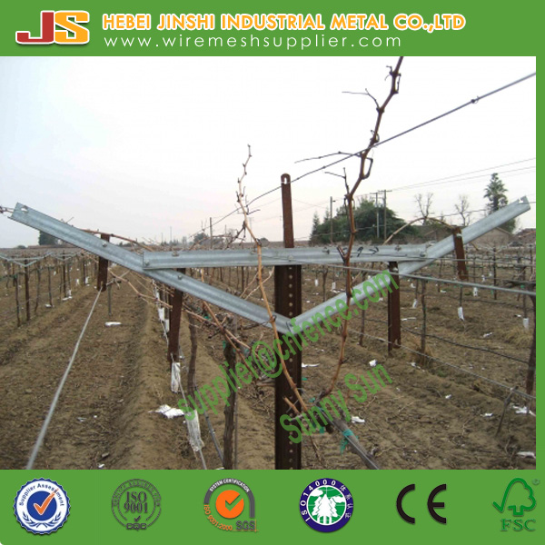 1460mmx1120mm Galvanized Steel Y Shaped Open Gable Vineyard Trellis Post