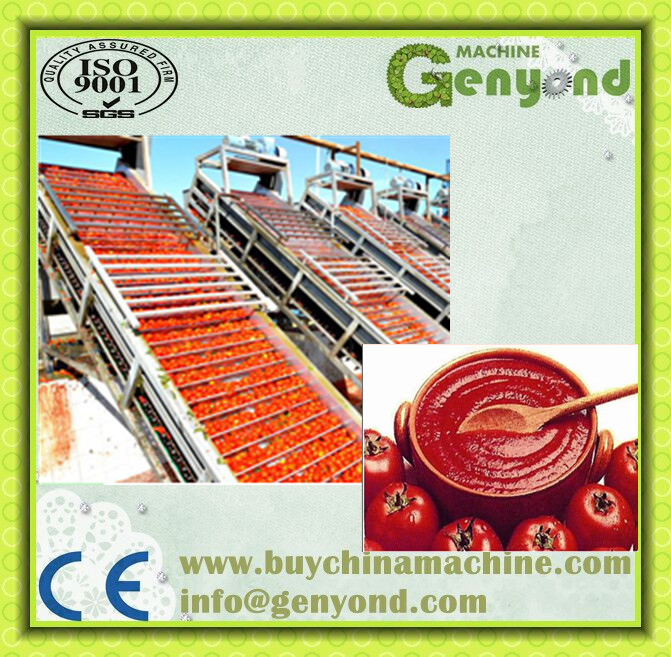 Small Middel Scale Date Paste Making Machine