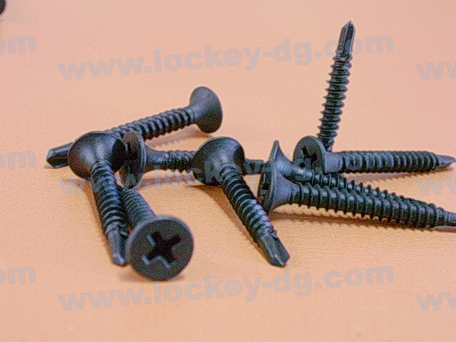 Bugle Head Phillips Drywall Screw / Drywall Screw with Drill Bit