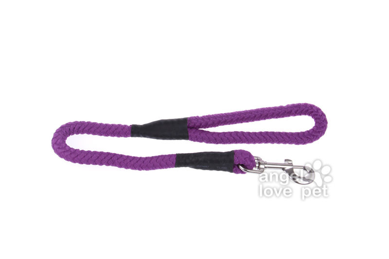 Big Purple Dog Leash, Pet Product