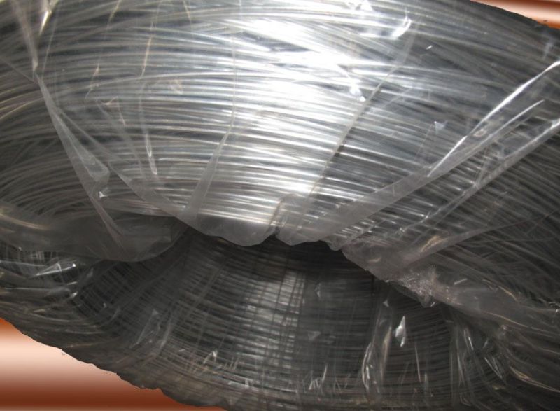 Galvanized Iron Wire /Binding Galvanized Wire