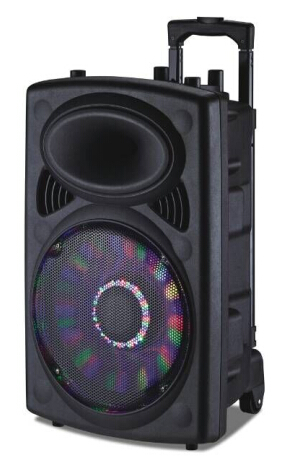 12-Inch Professional Active Speaker with Bluetooth, USB/SD/Mic Inputs and FM Radio 6814D