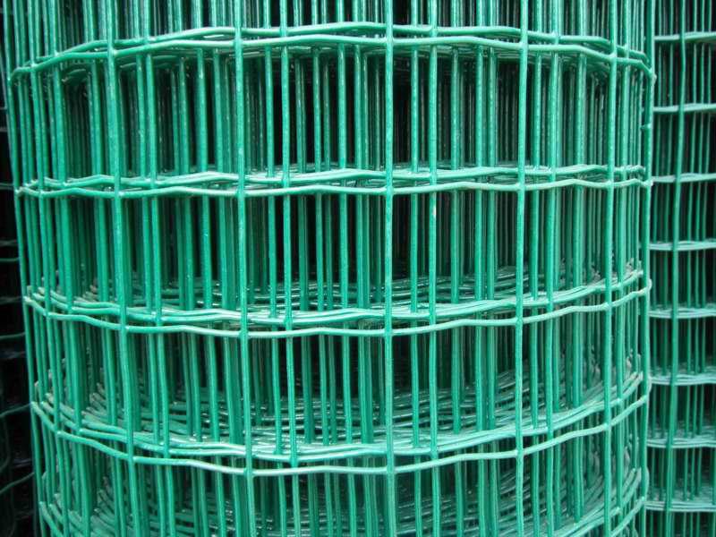 Holland Electric Welded Wire Mesh (fence)