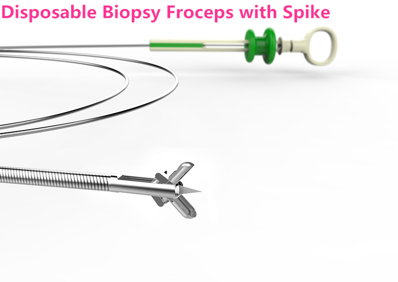 Stainless Steel Disposable Biopsy Forceps for Gi Endoscopy