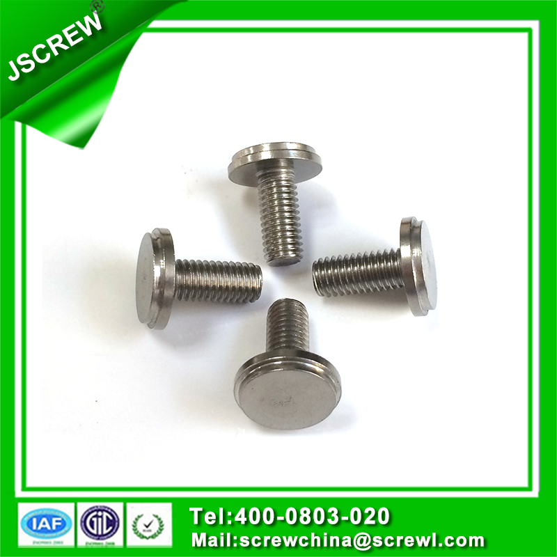 M8*18 Stainless Steel Special Head Thumb Screw